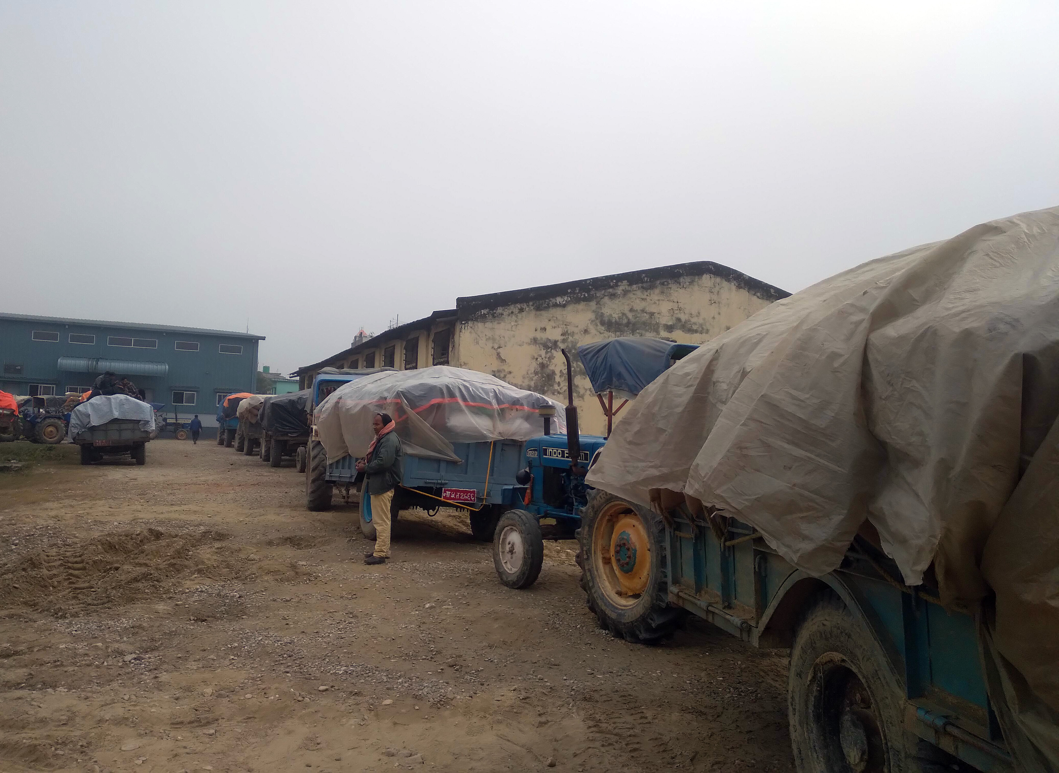 मूल्य निर्धारणपछि धान बेच्ने किसानको भीड