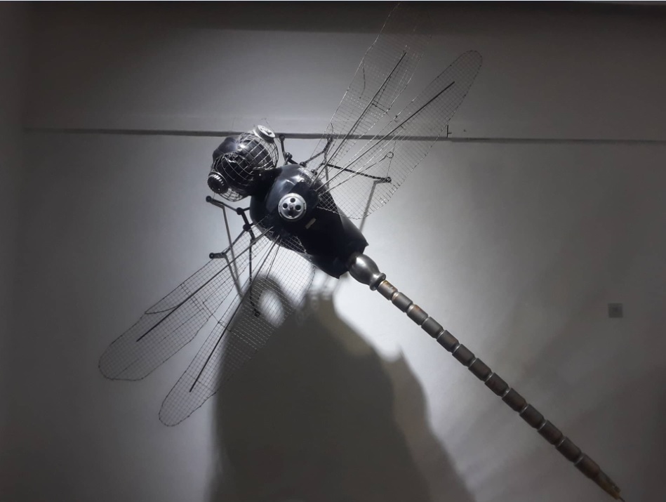 सिर्जनमा चित्ताकर्षक ‘झ्यालिन्चा’