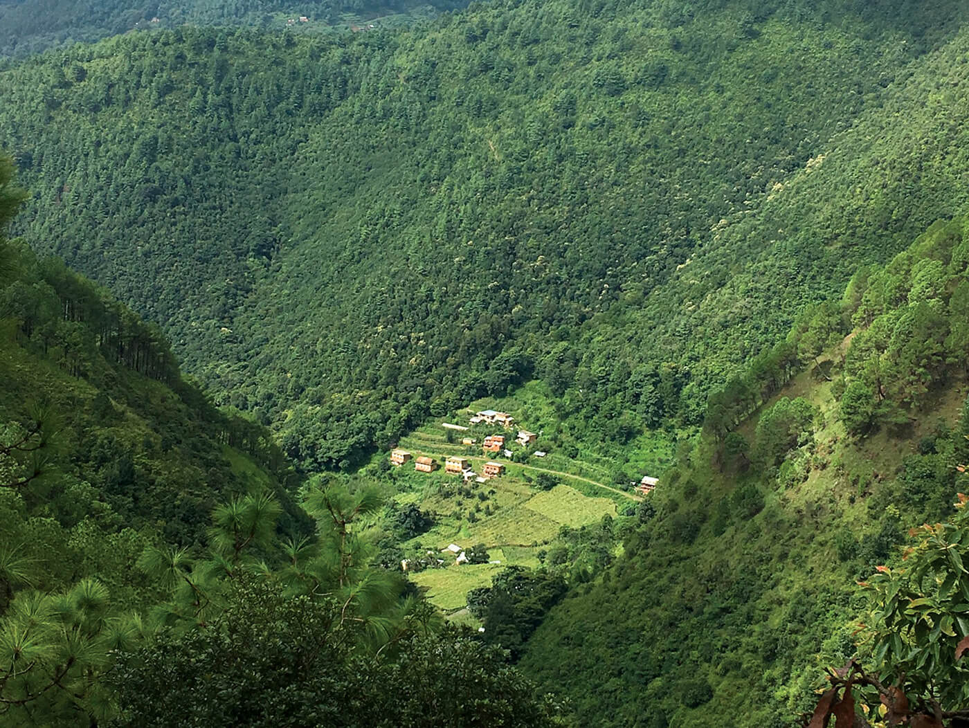 निकुञ्ज छेउछाउका किसानलाई ३८ लाख राहत वितरण