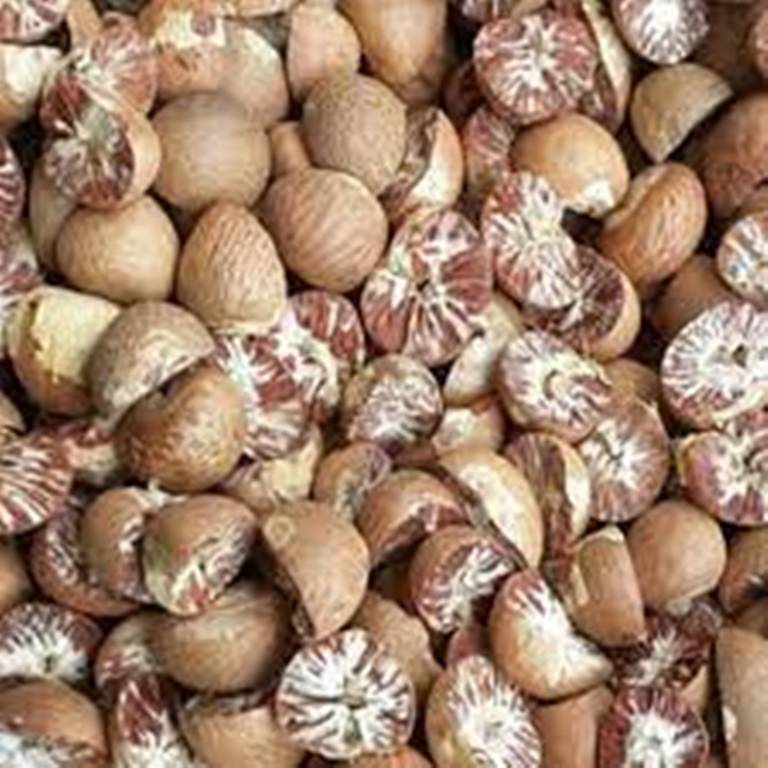 झापामा यसरी समातियो तीन लाखको सुपारी