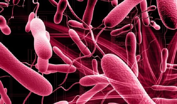 काठमाण्डौं उपत्यकाका १२ जनामा हैजा पुष्टि 