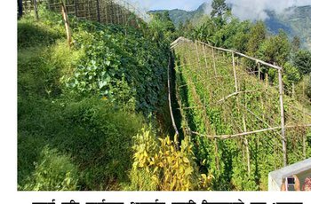 कृषकको पक्षमा खोटाङको निर्णय : अब सहुलियतपूर्ण ऋण