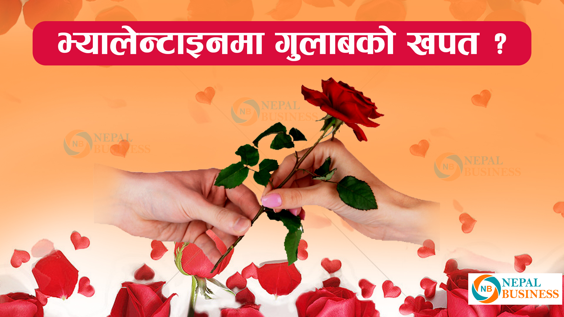 एक करोडको गुलाव बाड्छन् प्रेमि, प्रेमिका (भिडियो सहित)