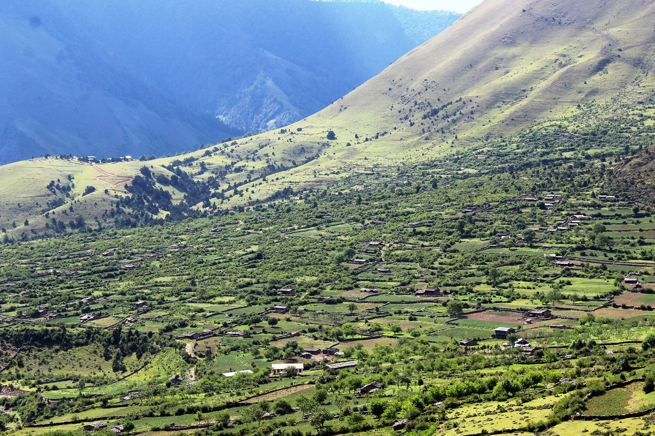 निसीखोला पालिकाद्धारा कृषिमा ४० लाख बजेट विनियोजन, आलु र मकैको लागि  पकेट क्षेत्र घोषणा