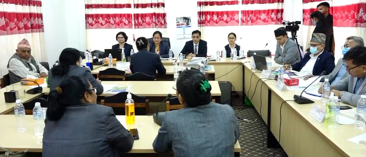 जनजातीको भाषा, कला तथा संस्कृतिको संरक्षण लागि अध्ययन अनुसन्धान गरि अभिलेखिकरण गर्न आदिवासी जनजाती आयोगलाई निर्देशन