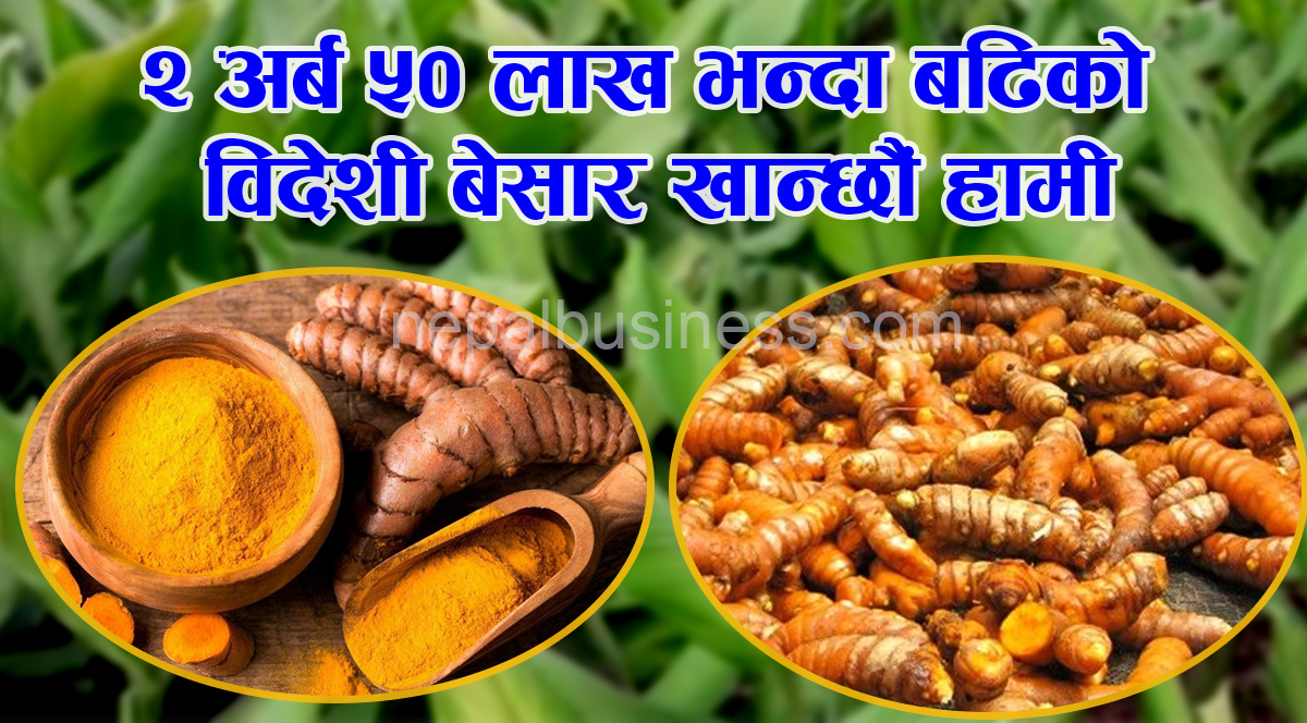  विदेशी बेसार नेपाली भान्सामा 