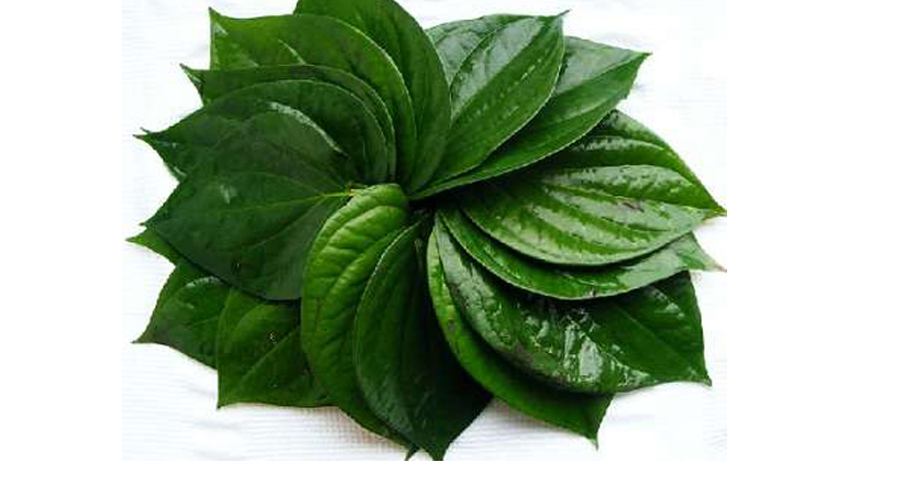 एक वर्षममा नेपालीले खाए ३ करोड १४ लाखको पान