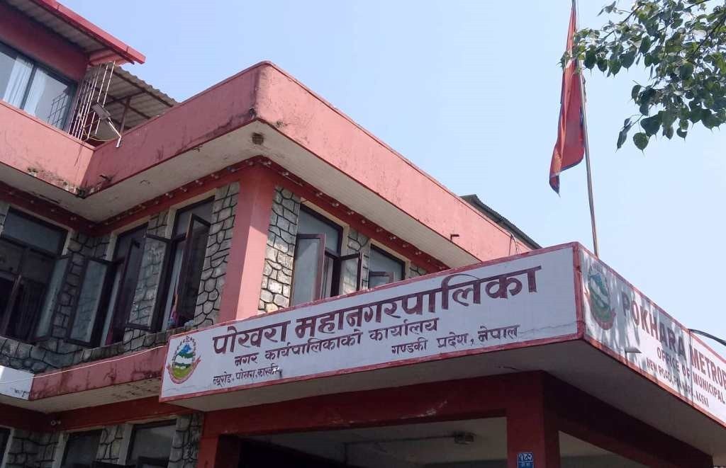 पोखराले दिन थाल्यो घाँस उत्पादन गर्ने किसानलाई अनुदान