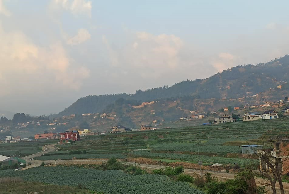 स्वदेशको मायाले तानेका विदेशियकाहरुको कृषि र पशुपालन कर्म 