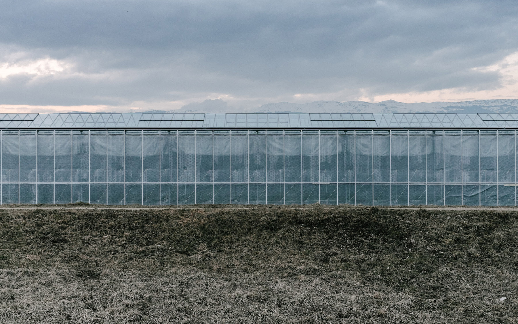 शिवम् प्लास्टिक इन्डस्ट्रिजको ५६ प्रतिशत निर्यात 