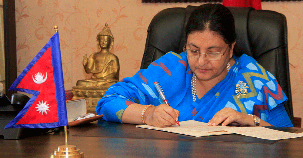 आज विश्व बाघ दिवस : वन्यजन्तु–मानव द्वन्द्व न्यूनीकरणमा सचेतनाको खाँचो