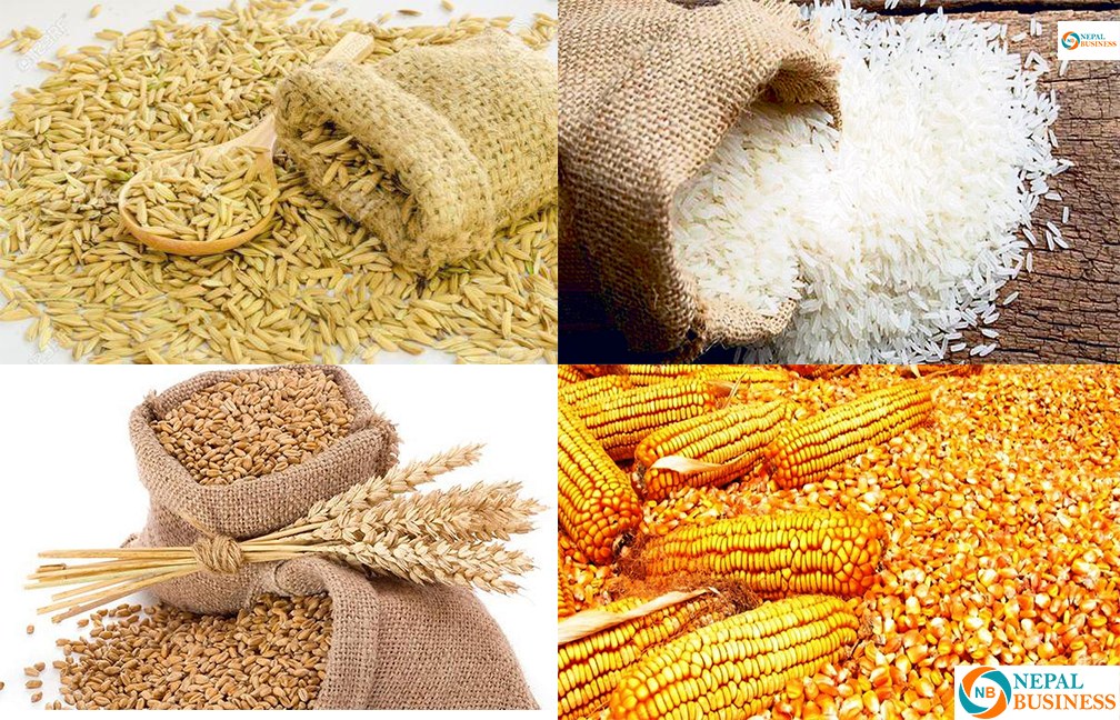 १० महिनामा नेपालमा ६४ अर्ब १० करोड बराबरकोे धान, चामल, मकै र गहुँ आयात