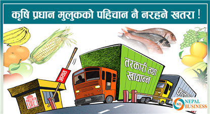 कृषि प्रधान मुलुकमा कृषिकै दुर्दशा, धान, चामल र मकैको समेत उच्च आयात