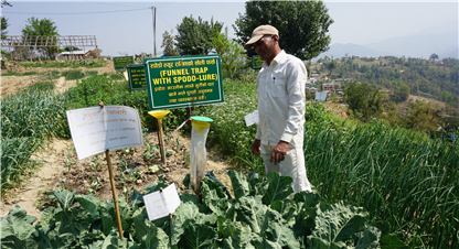 फिचर : प्रांगारिक तरकारी उत्पादन गर्न सिकाउने काभ्रेको त्यो ‘नलेज पार्क’...