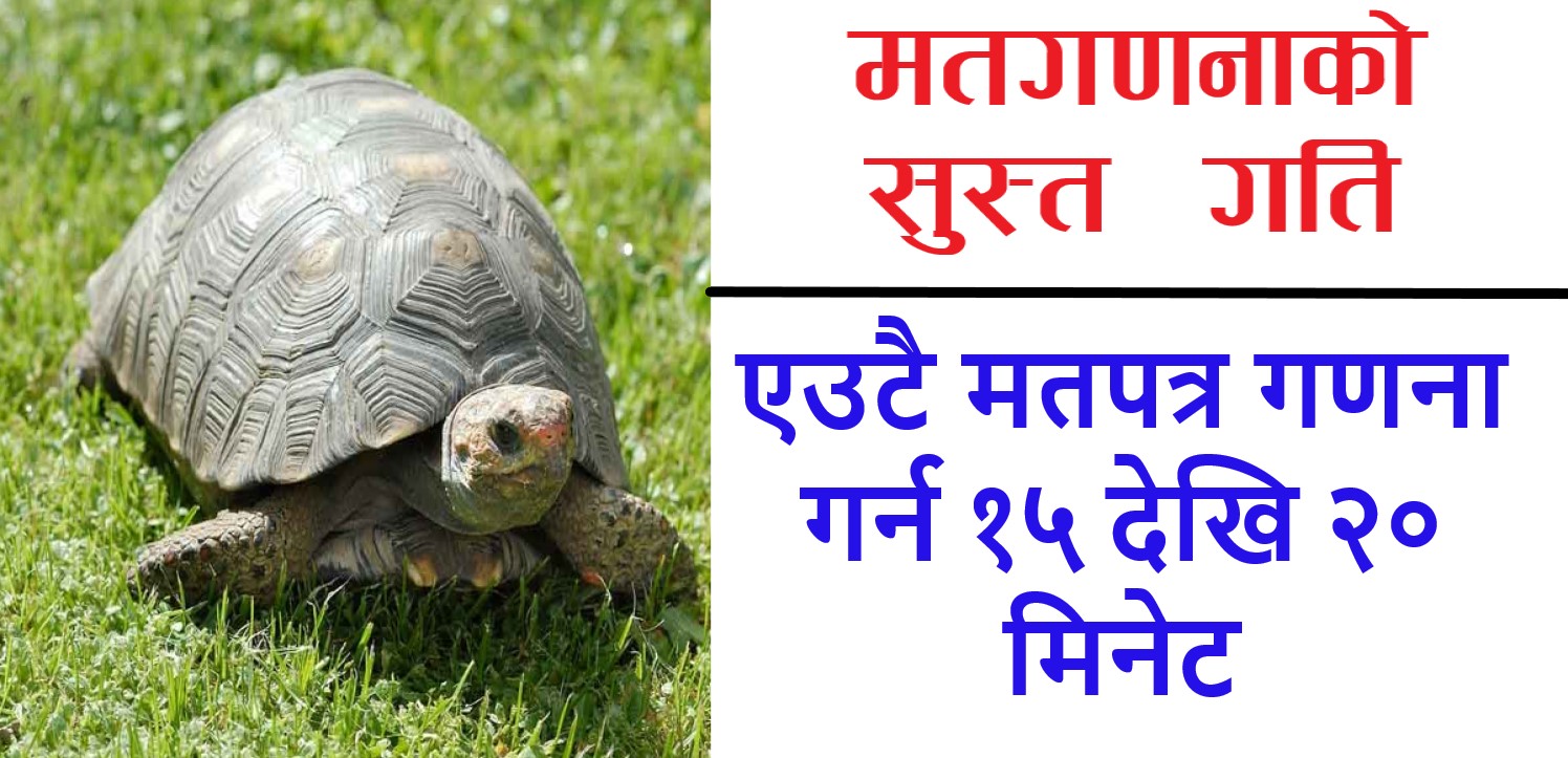 मतगणनामा सुस्त गति, फरक रणनीति नपनाए अन्तिम नतिजा आउन हप्तौं लाग्ने