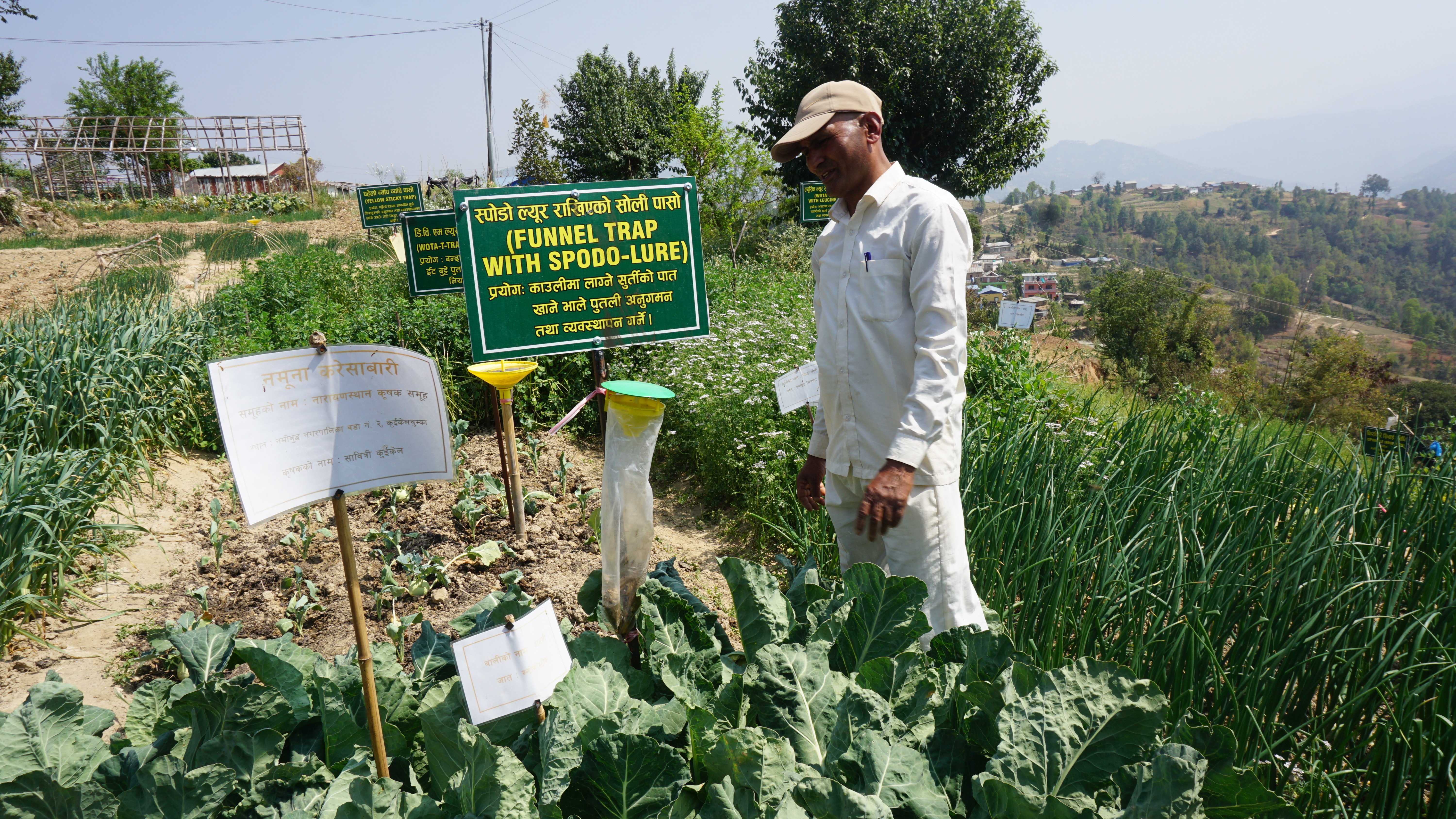 फिचर : प्रांगारिक तरकारी उत्पादन गर्न सिकाउने काभ्रेको त्यो ‘नलेज पार्क’...