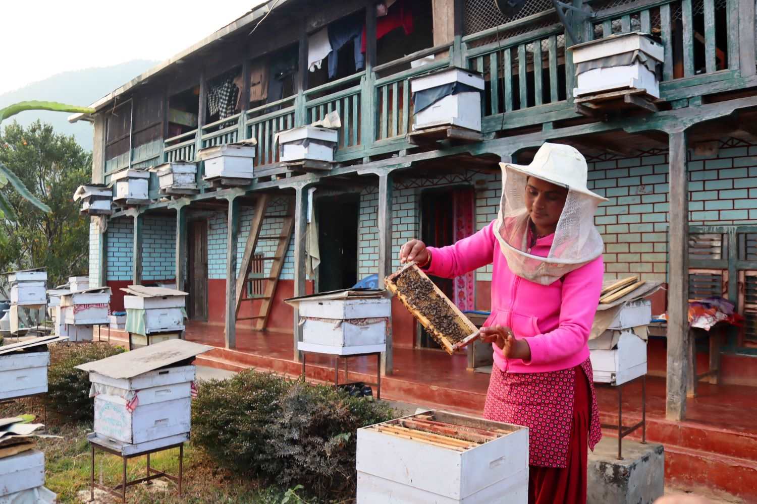 'महराज’को कमाई : तीन सयमा सिकेको सीपबाट वार्षिक १० लाख 