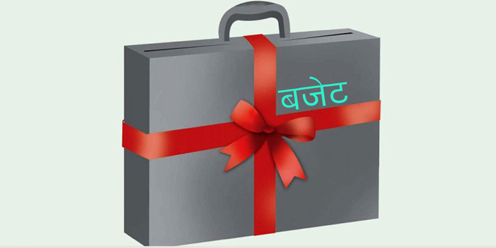 ललितपुर महानगरपालिकाको बजेट ६ अर्ब ३५ करोड ३५ लाख,  कल सेन्टरलाई बजेटमै समेटियो