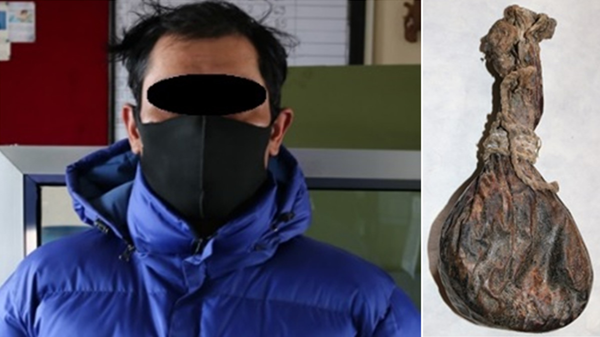 टोखाबाट भालुको पित्तसहित एकजना पक्राउ