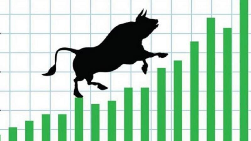 सेयर बजार घट्दा शुक्रबार यी कम्पनीको भयो सर्वाधिक कारोबार