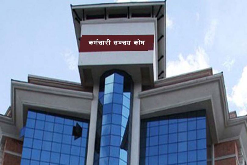 कर्मचारी सञ्चय कोषले माग्यो ५८ जना कर्मचारी, कहिलेसम्म दिने आवेदन?