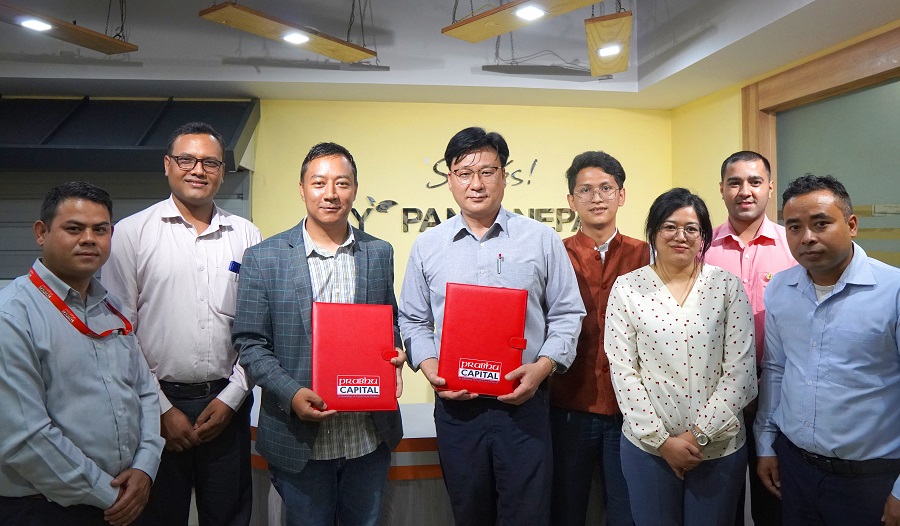 एसवाई प्यानल नेपालले आईपीओ निष्काशन गर्ने, बिक्री प्रबन्धक प्रभु क्यापिटल