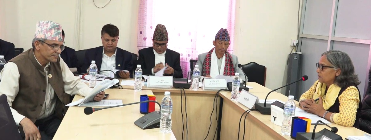 वस्ती विकास, शहरी योजना तथा भवन निर्माण सम्बन्धी मापदण्डलाई परिमार्जन गर्न प्रविधि समितिको सरकारलाई निर्देशन 