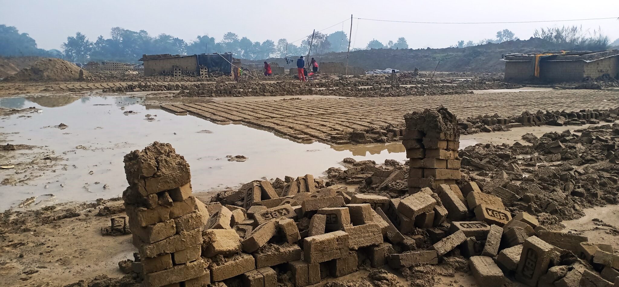 वर्षाका कारण चितवनमा एक करोड इँट्टा नष्ट