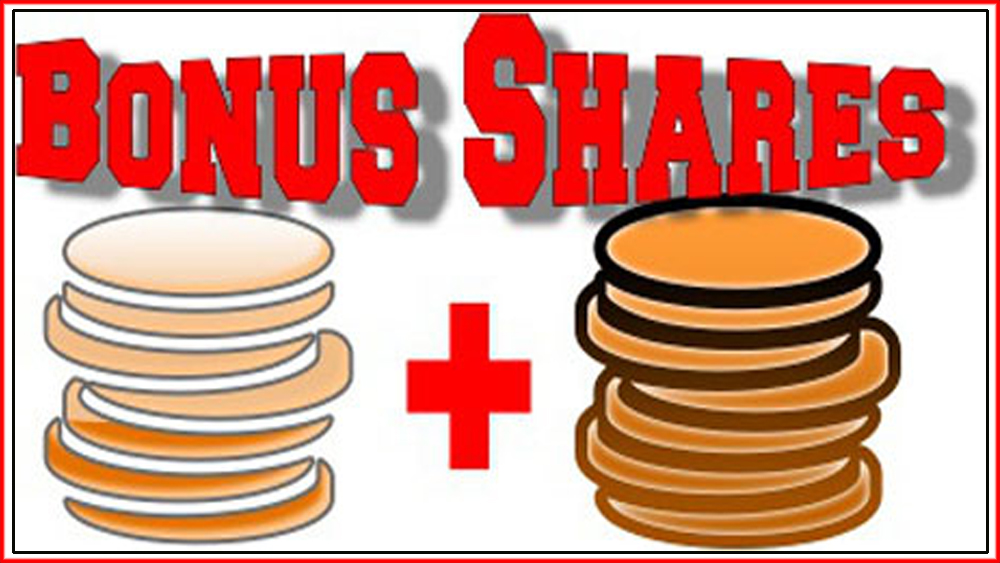 दुई लघुवित्तको बोनस सेयर सेयरधनीको डिम्याट खातामा जम्मा, कुन लघुवित्तको कति ?