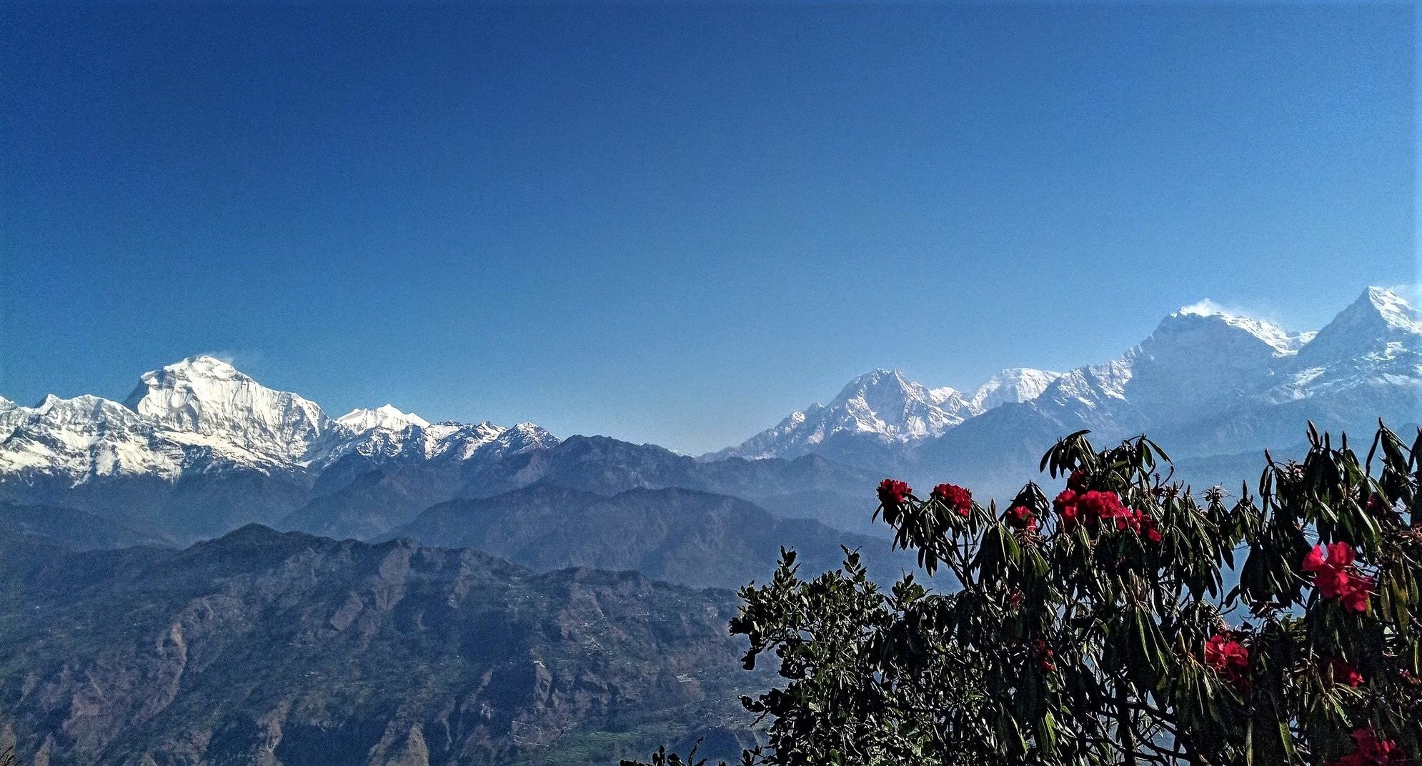 कोरोना मत्थर भएपछि, पर्यटन क्षेत्रमा पलाएको आस