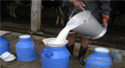 किसानको माग सम्बोधान, दूधको मूल्य प्रति लिटर ६ रुपैयाँ ५२ पैसाले बढ्यो 
