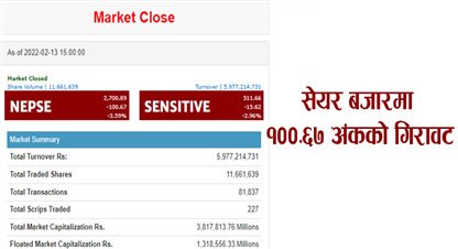 सेयर बजारमा १००.६७ अंकको गिरावट