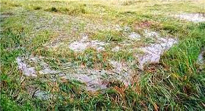 किसानलाई राहत दिन अर्थले दियो एक अर्ब, वेमौसमी वर्षाले क्षति पुगेका ३१ जिल्लाका किसानले पाउने  