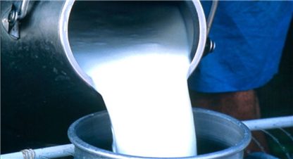 बजारमा अझै १ लाख २० हजार लिटर दूध अभाव, उत्पादन बढाउने कार्यक्रम ल्याउन डेरी उद्योगीको माग
