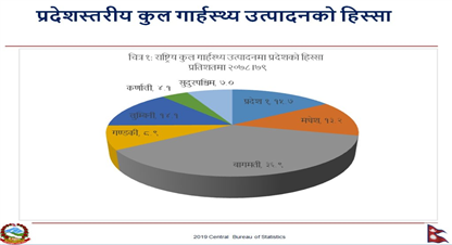 कूल गार्हस्थ्य उत्पादनमा बागमतीको हिस्सा एक तिहाइ,  कुन प्रदेशको कति ?