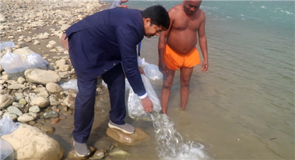 कालीगण्डकीमा ३१ हजार माछा थप, प्राकृतिक जलाशयमा माछा प्रवद्र्धन योजना 