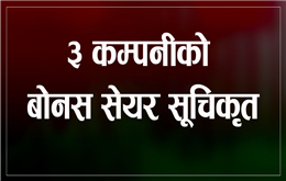 नेप्सेमा ३ कम्पनीको बोनस सेयर सूचिकृत, कुनको कति ?