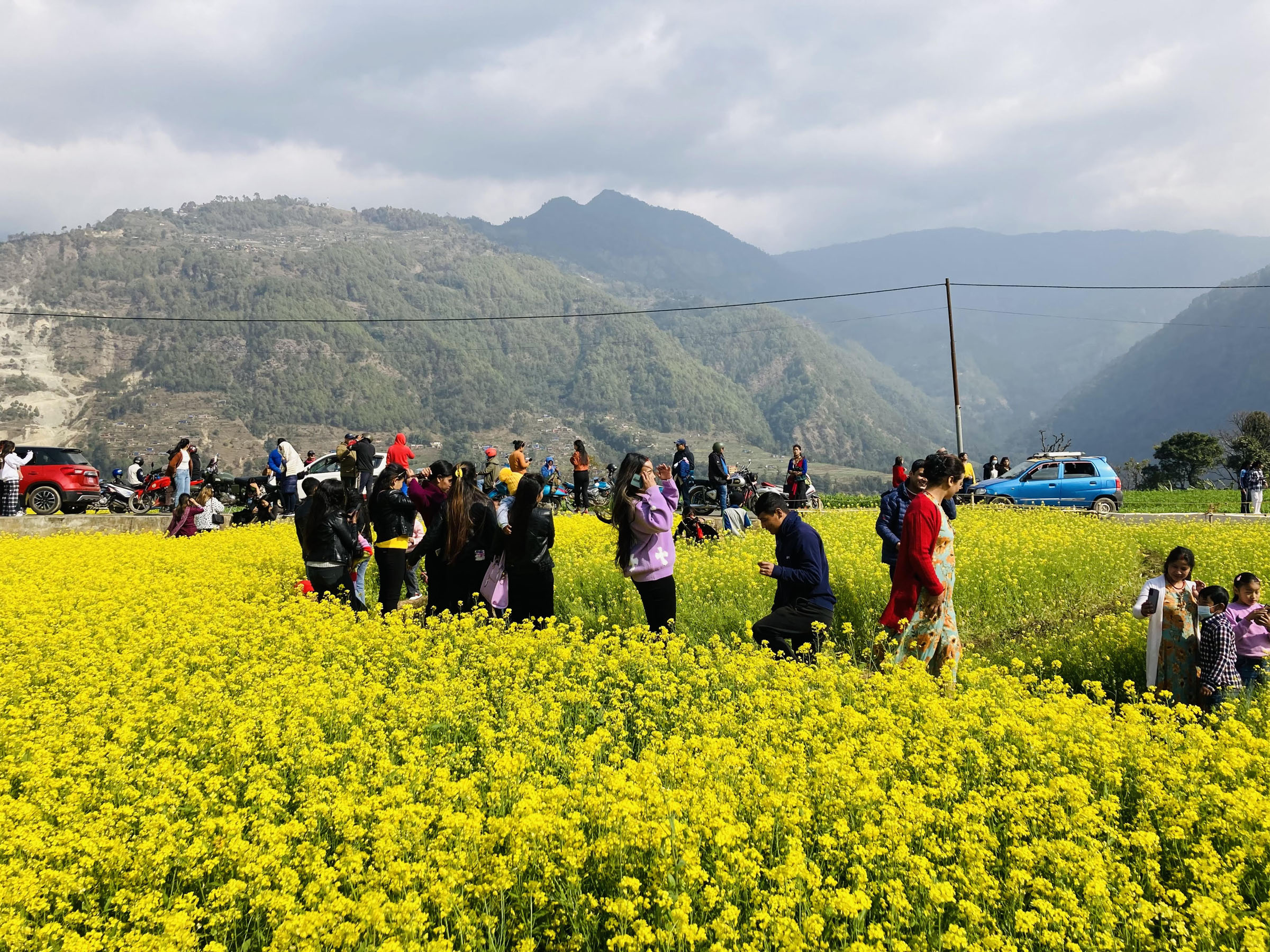 तोरीसँगै रमाउँदै आन्तरिक पर्यटक